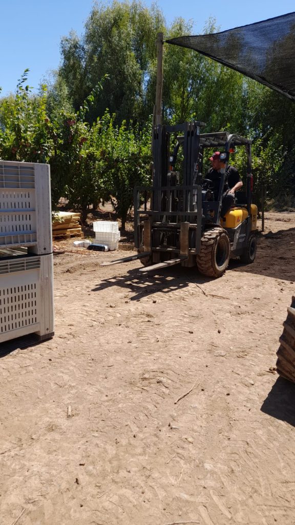 Grúa en Santa Cruz VI Región, Grúa Horquilla - Grúas San Álvaro