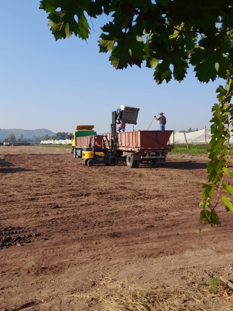 Grúa en Santa Cruz VI Región, Grúa Horquilla - Grúas San Álvaro