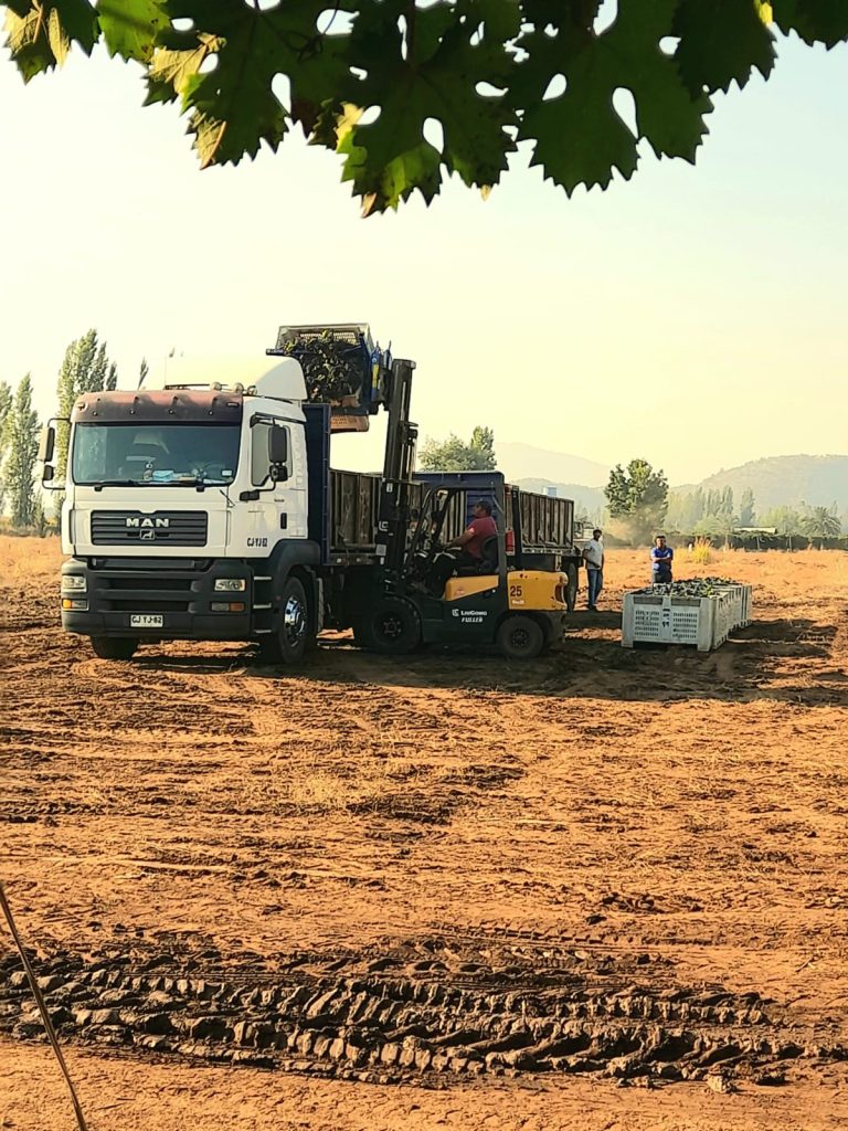 Grúa en Santa Cruz VI Región, Grúa Horquilla - Grúas San Álvaro