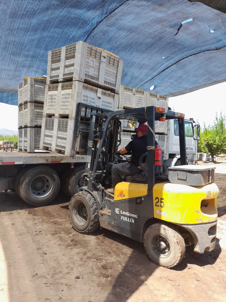 Grúa en Santa Cruz VI Región, Grúa Horquilla - Grúas San Álvaro